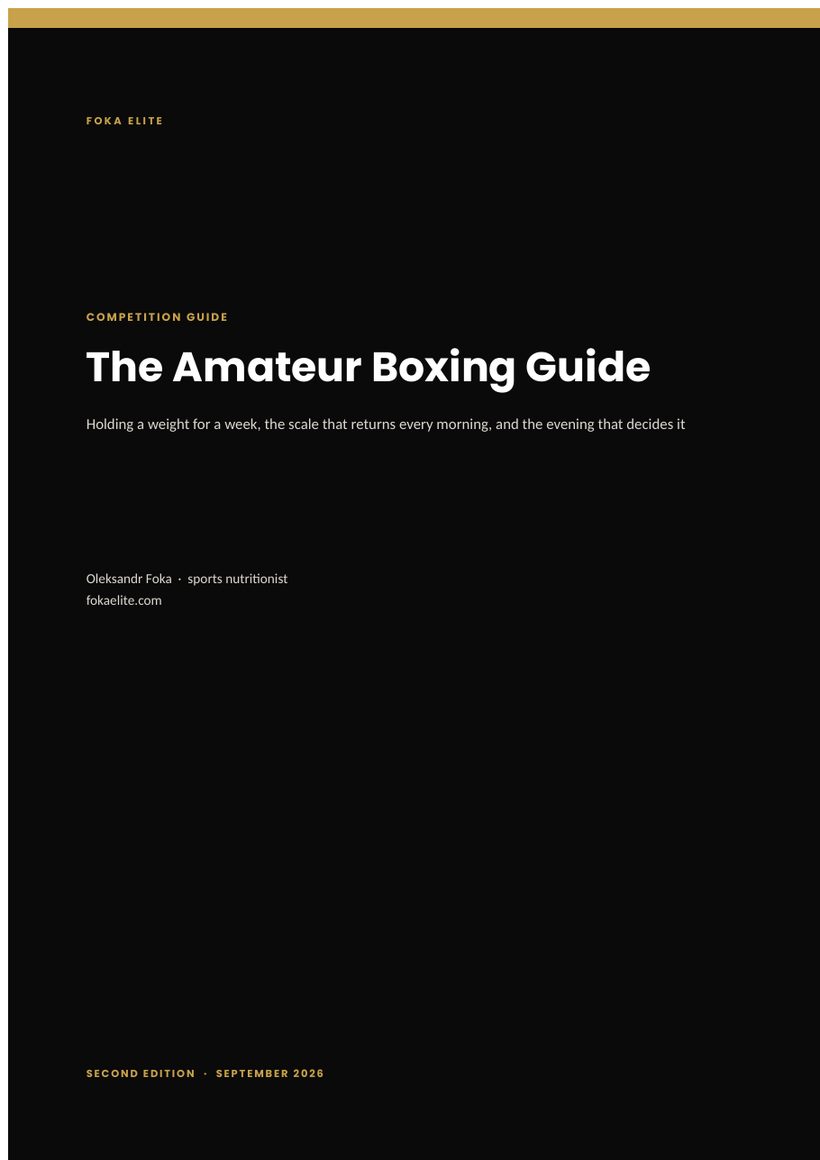 Cover of The Amateur Boxing Guide, a PDF by Oleksandr Foka
